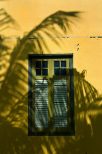 Shadow of fern on yellow wall