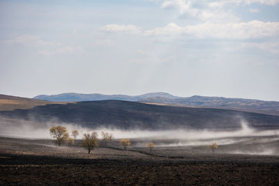 Scenic view of landscape against sky