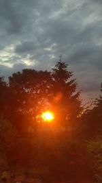 Silhouette trees against sky during sunset