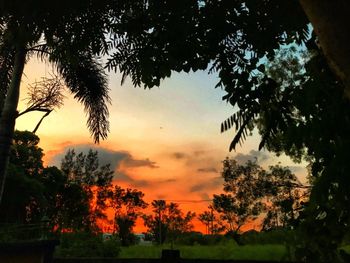 Silhouette trees on field against orange sky