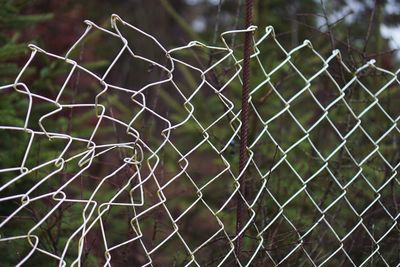 Close-up of chainlink fence