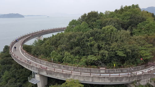 High angle view of bridge amidst plants and trees