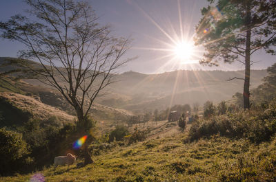 Scenic view of landscape against sky