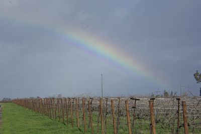 Scenic view of rainbow against sky