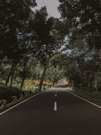 Road amidst trees