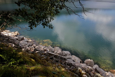 Scenic view of lake against trees