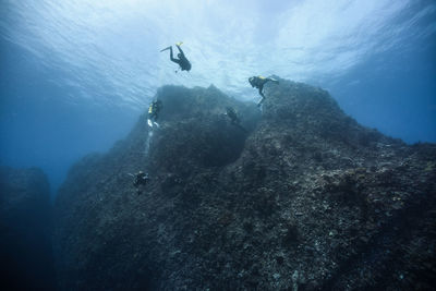 Close-up of scuba divers undersea