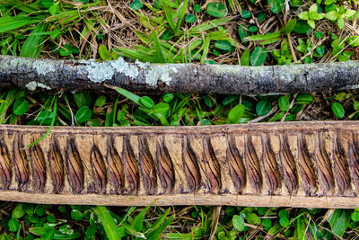 Close-up of rusty wood