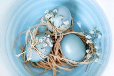 Baby blue colored easter eggs in a bowl, top view macro closeup. festive decoration.