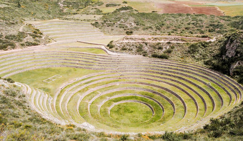 High angle view of agricultural landscape