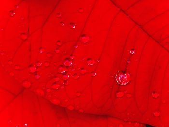 Full frame shot of red background