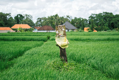 Shrine on farm against cloudy sky