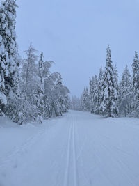 Snow covered road amidst trees against sky