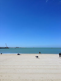 Scenic view of beach against clear blue sky