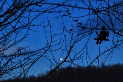 Low angle view of silhouette bird flying against blue sky