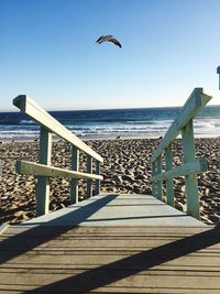 Seagull flying over sea against clear sky