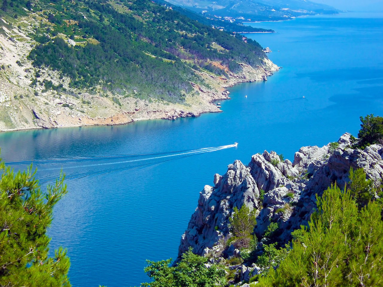 HIGH ANGLE VIEW OF SEA BY TREES