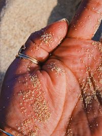 High angle view of hand on wet leaf