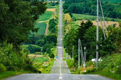 Road amidst trees in forest