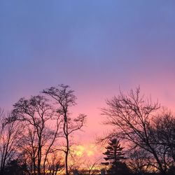 Low angle view of silhouette trees against sky at sunset