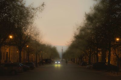 Street amidst trees against sky at night