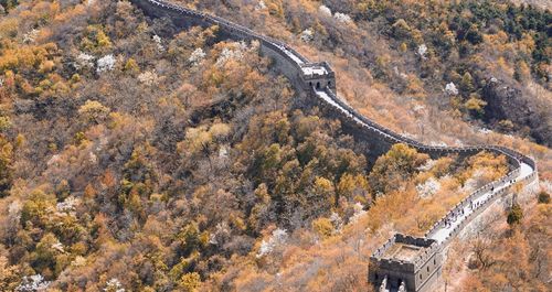 High angle view of road passing through tree