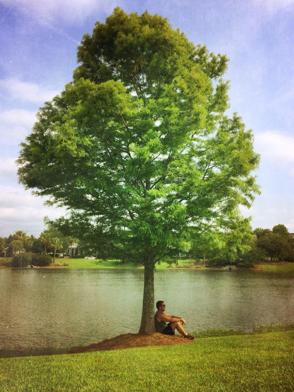 tree, water, sky, lake, tranquility, tranquil scene, nature, leisure activity, sitting, lifestyles, grass, beauty in nature, scenics, men, rear view, lakeshore, growth, bench