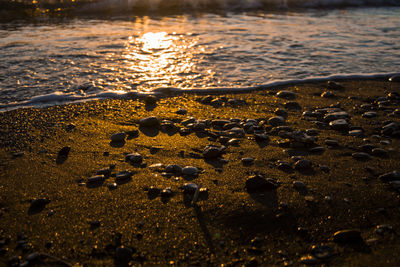 Close-up of pebbles on sand at beach