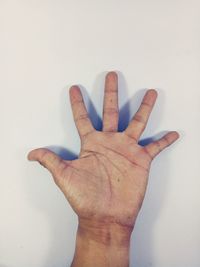 Close-up of human hand against white background