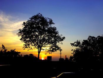 Silhouette of trees at sunset