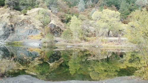 Scenic view of river by tree mountains