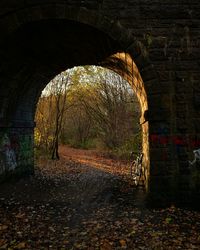 View of tunnel