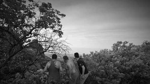 Rear view of people standing by tree against sky