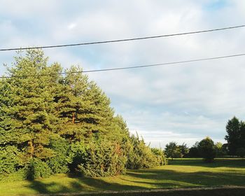 Trees on landscape against sky