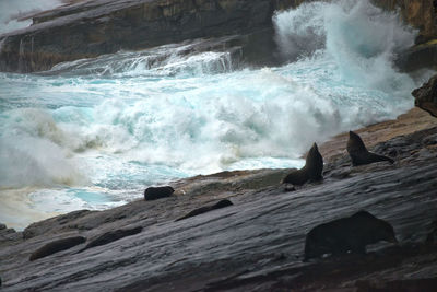 Waves splashing on rocks at shore