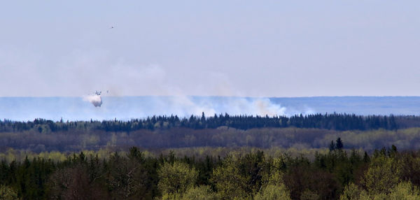 Scenic view of landscape