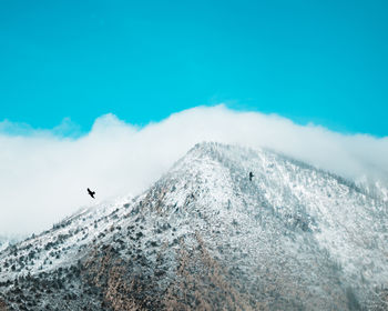 Low angle view of bird and mountain against sky