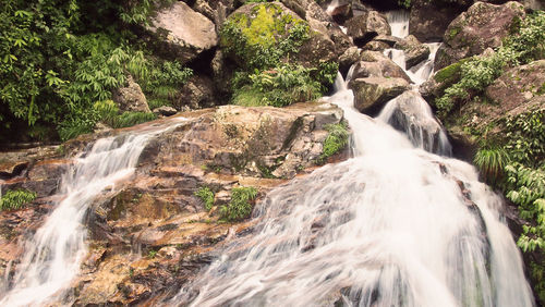 Scenic view of waterfall in forest