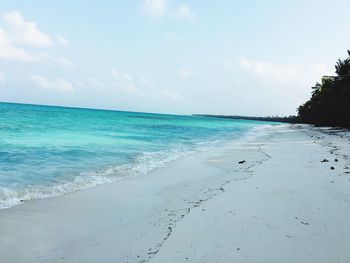 View of calm beach against the sky