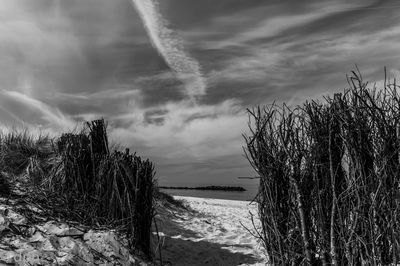 Scenic view of beach against cloudy sky