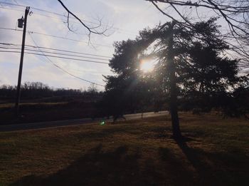 Sun shining through trees on field