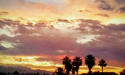 Silhouette of palm trees against cloudy sky