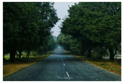 Road amidst trees against sky