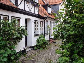 Eckernförde at the baltic sea