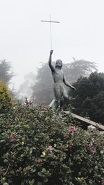 Low angle view of statue against trees