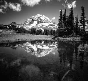 Reflection of trees in lake against sky during winter