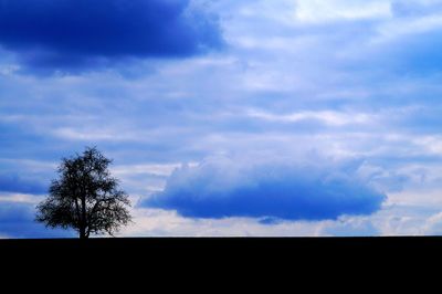 Low angle view of silhouette trees against sky