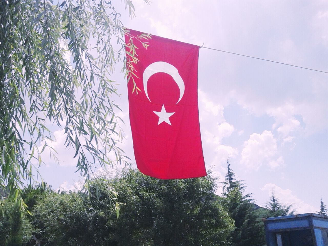 red, tree, low angle view, sky, hanging, day, human representation, outdoors, no people, built structure, flag, architecture, building exterior, patriotism, text, sunlight, growth, guidance, cloud, communication