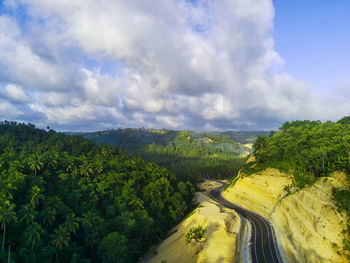 A curvy coastal road snaking along a bright blue ocean. lush green vegetation