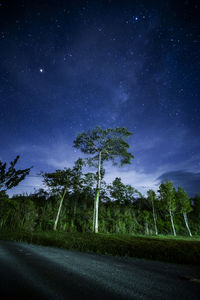 Trees on field against sky at night